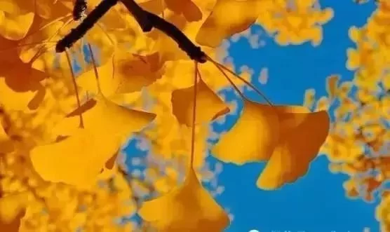永远不要从别人嘴里去认识另外一个人!(必看)