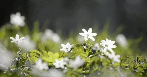 人 越是没钱 越要戒掉这4点毛病!