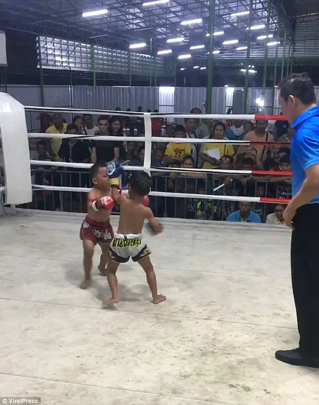 5岁男孩打拳击赚钱 未带防护用具观众却大声叫好!