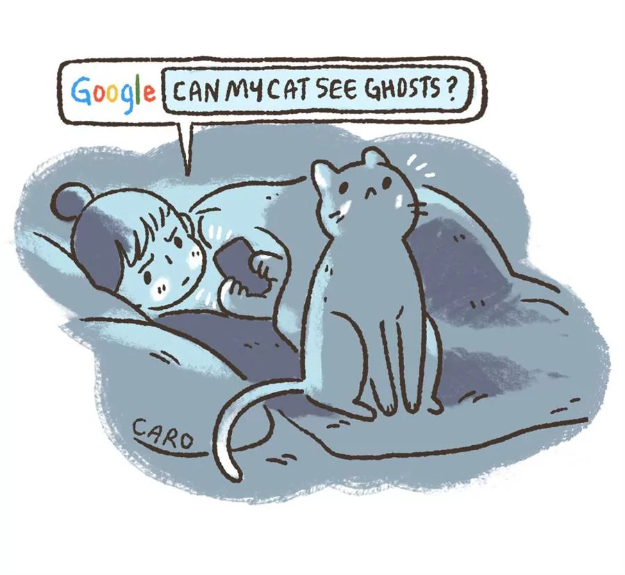 养猫后我再也不需要闹钟了!正妹插画家画出宠主的日常 每一张都超有感!