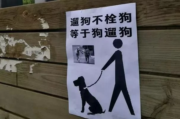 咬我孩子我直接打死!这封致养狗邻居公开信火了!