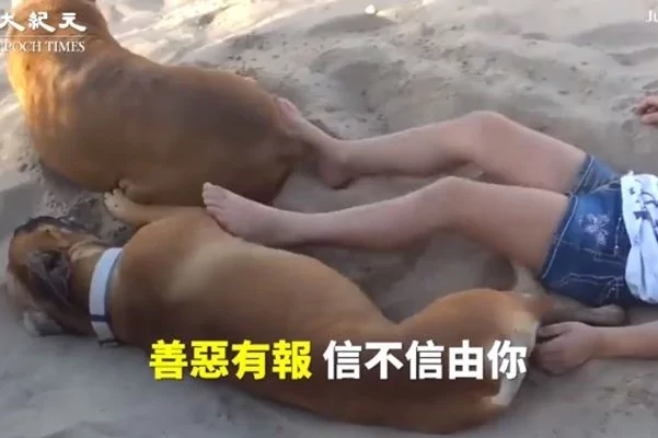 逃都逃不掉!影片录下的现世报!