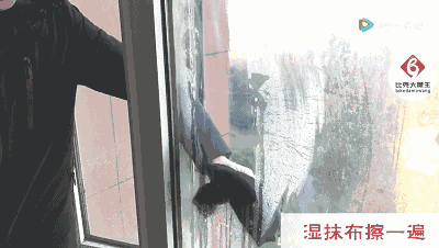 过期啤酒倒在窗台上 竟有这种神效 太厉害了!
