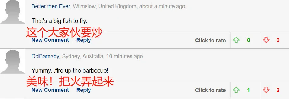 三兄弟意外发现超4米长鱿鱼 网友:够吃一年