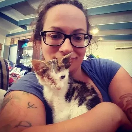 猫咪长着4只耳朵1只眼睛 主人却称赞:它是世上最完美的猫咪!