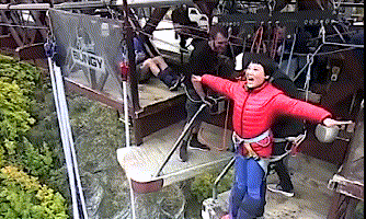 视频截图
