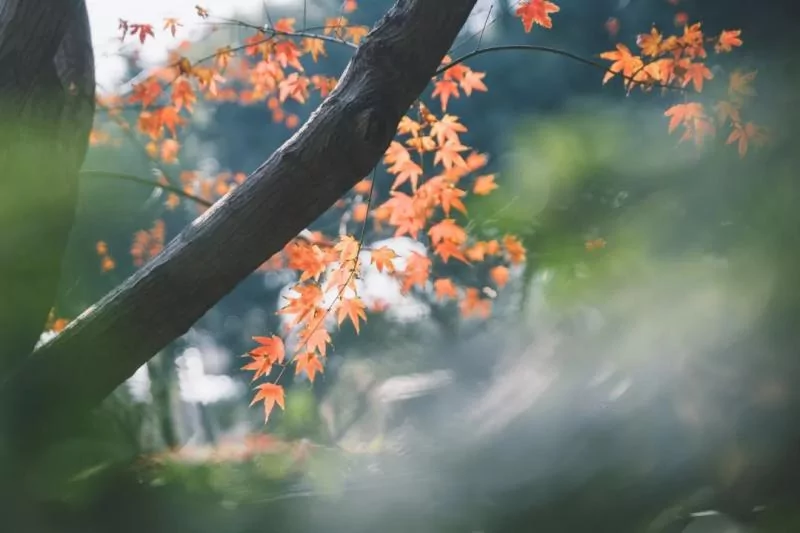 幸福 健康和快乐 就是“一点”加“一点”!(深度好文)