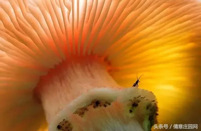 震撼人心的18张图片 你能看懂几张?