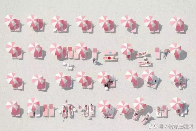 震撼人心的18张图片 你能看懂几张?