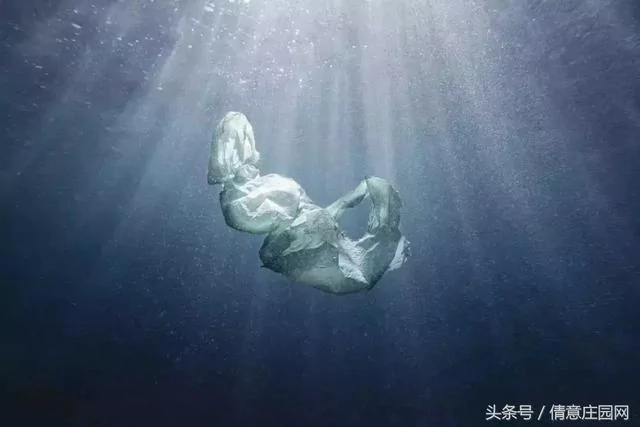 震撼人心的18张图片 你能看懂几张?