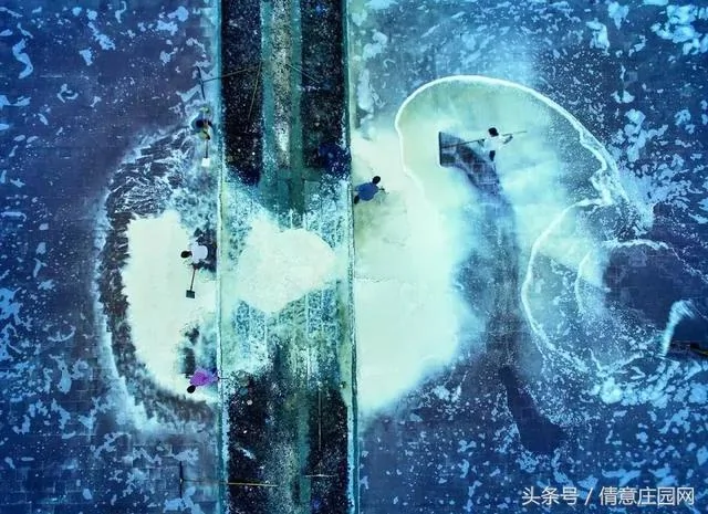 震撼人心的18张图片 你能看懂几张?