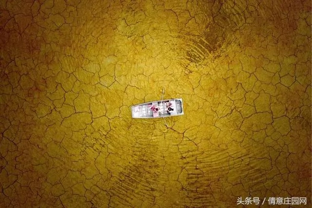 震撼人心的18张图片 你能看懂几张?