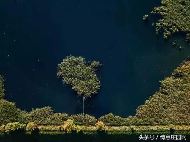 震撼人心的18张图片 你能看懂几张?