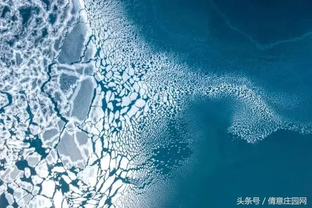震撼人心的18张图片 你能看懂几张?