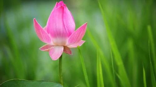 读懂这幅对联 一生幸福!