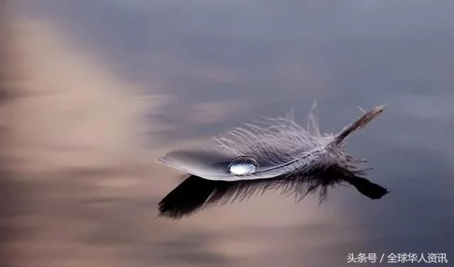 诚信+感恩+人品=做人!