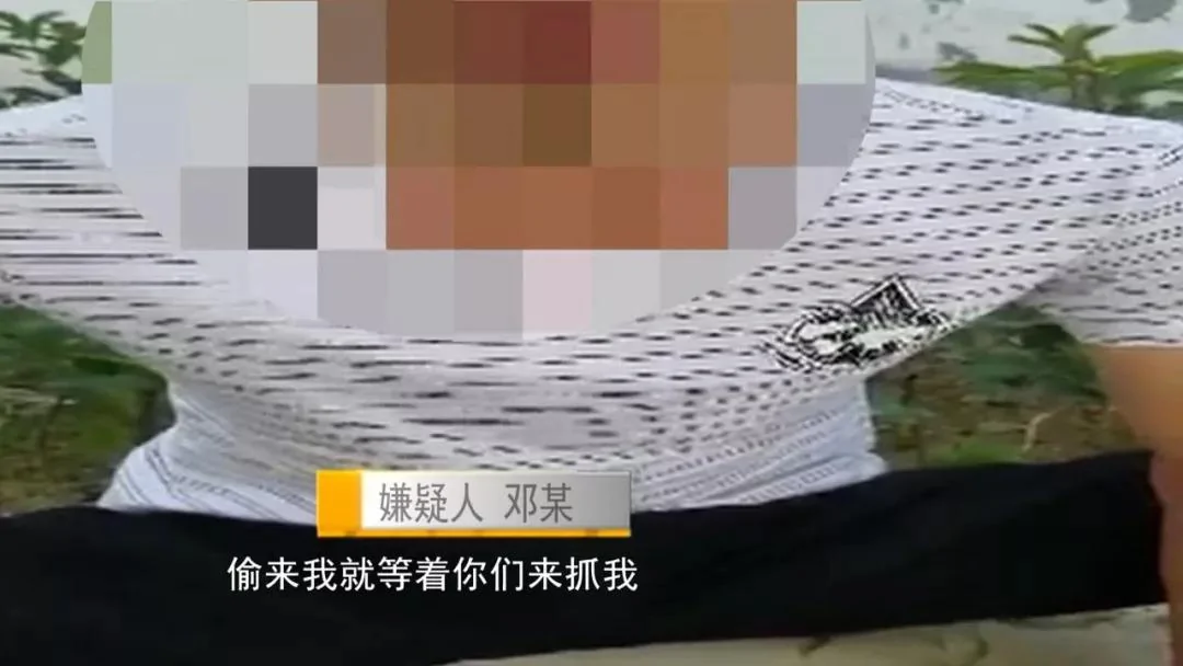 男子偷东西被抓:买冰棍老婆都管 到派出所安静几天