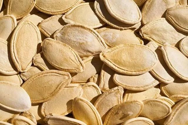 入秋后常吃10种宝 胜过冬虫和夏草