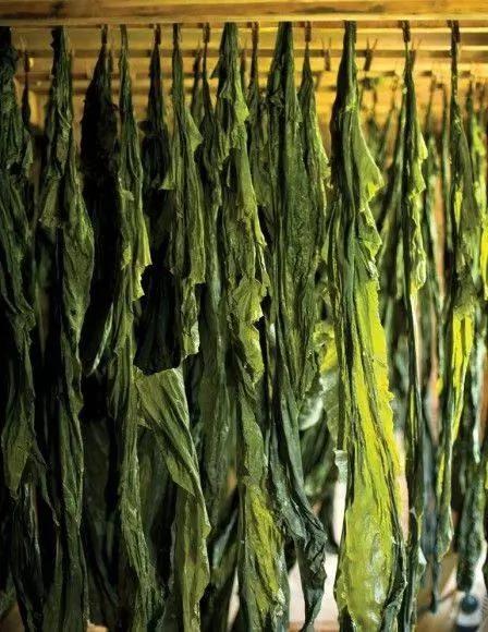 入秋后常吃10种宝 胜过冬虫和夏草