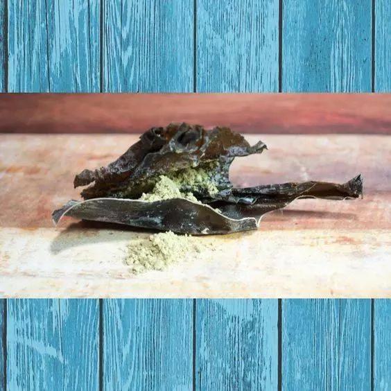 入秋后常吃10种宝 胜过冬虫和夏草