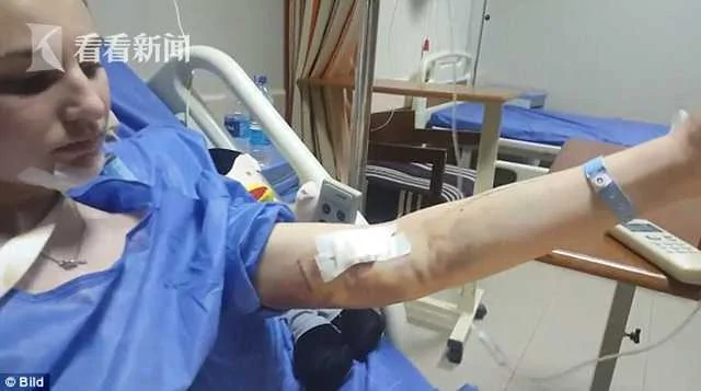 导游无视风浪让女子和海豚游泳 被卷螺旋桨险死!