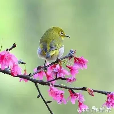 这话说的太高明了!谁看谁服!