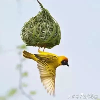 这话说的太高明了!谁看谁服!