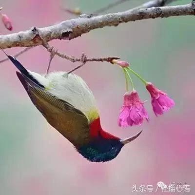 这话说的太高明了!谁看谁服!
