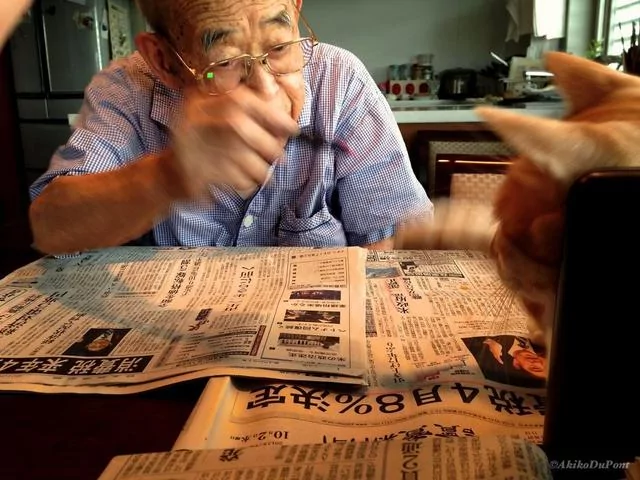 他给生病后脾气暴躁的爷爷带来一只猫 结果爷爷性格大变!