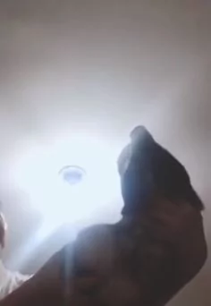 苍蝇飞不停超烦 举起主子”一秒成功捕获“ 网友惊呼:这款捕蚊灯超赞!