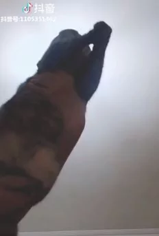 苍蝇飞不停超烦 举起主子”一秒成功捕获“ 网友惊呼:这款捕蚊灯超赞!