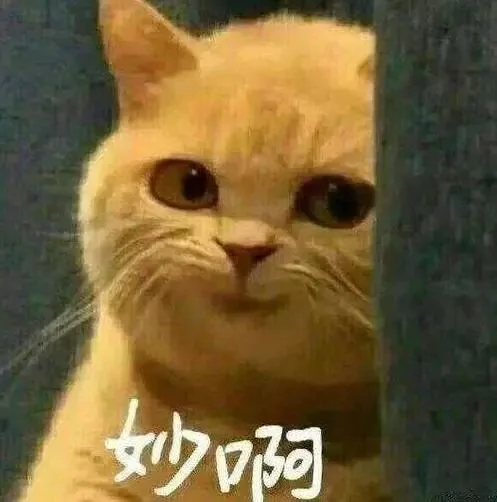 奇葩小偷想结婚 偷结婚证贴自己和女友照片!