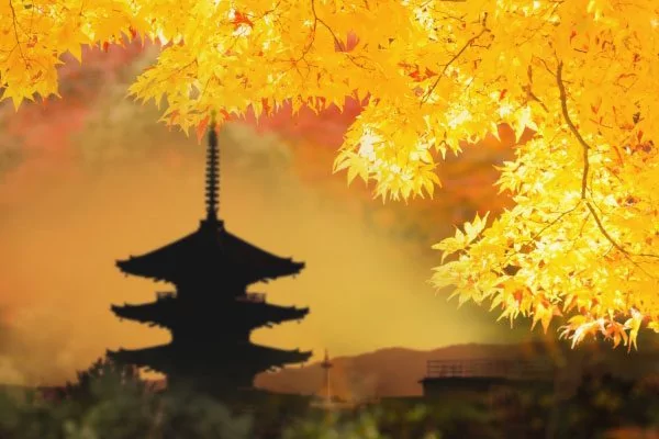 初秋浅禅 薄念释然 潋滟金风里 扑面艳阳天