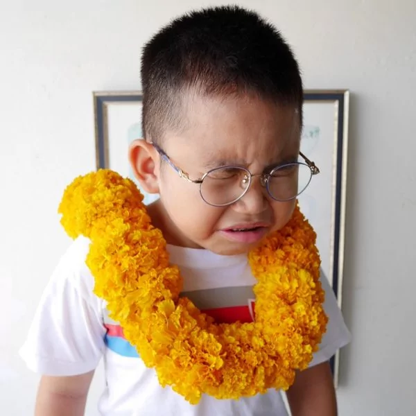 从幼儿园到养老院 有多少事能随愿?看完久久不能平静!