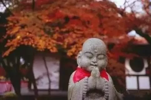 人活着 少言六语!不管多忙 都来看看!