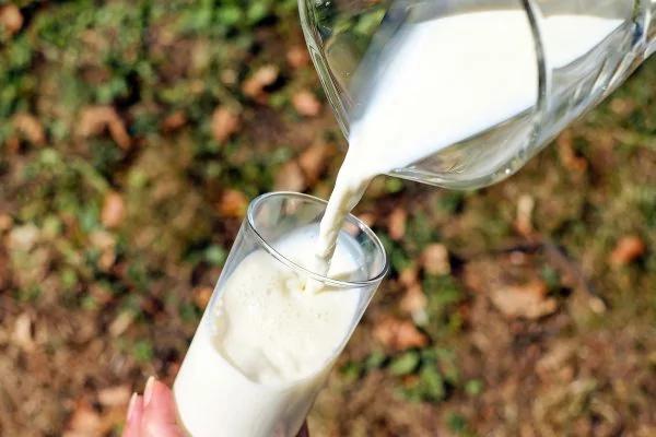 吃「钙片」和喝「牛奶」? 哪一种才是正确补钙?