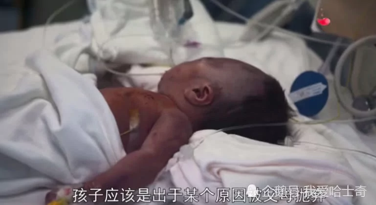 男子目睹一条大狗嘴里叼着婴儿狂奔 然而背后真相却让人泪目!