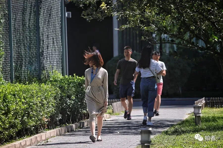 阵风八级!“风”情万种的北京城!