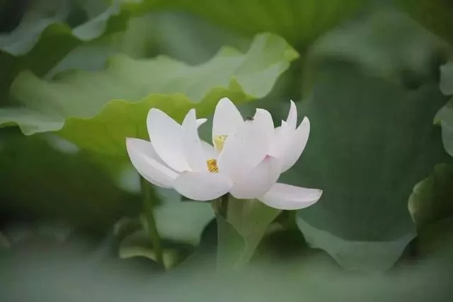 去靠近给你正能量的人!