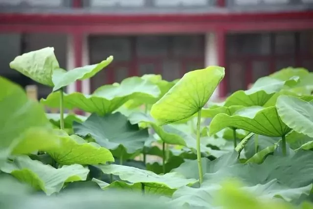 去靠近给你正能量的人!