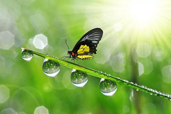 【节气】寒气生白露五行补冬从补露开始 二十四节气