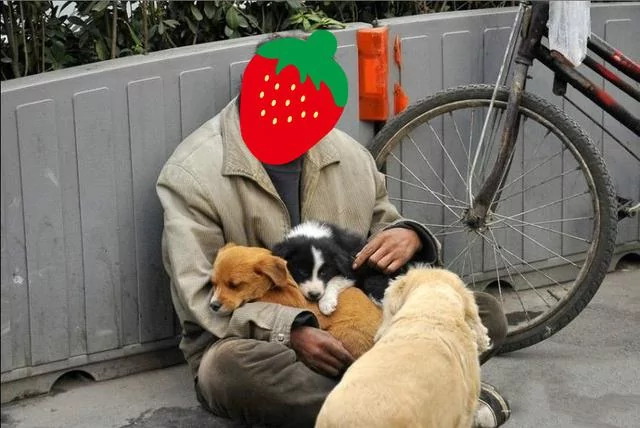 白天好心给了乞丐一碗饭 结果晚上乞丐养的土狗却帮我挣了上万块!