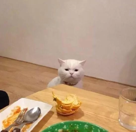好想吃!主人开饭被猫咪狂盯 偷伸肉球秒抓包:分朕一口就好!