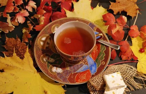 秋天来了 怎样喝茶