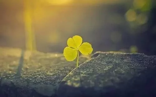 做人的五条黄金法则!