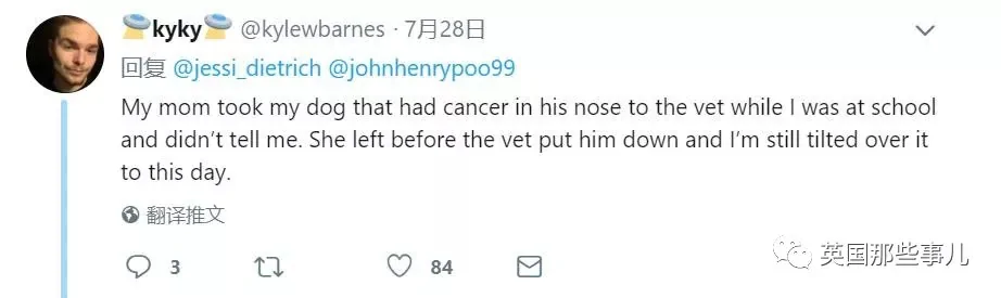 宠物接受安乐死前疯狂四处张望 在找最爱铲屎官啊!
