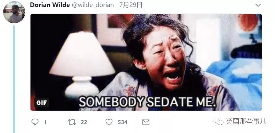 宠物接受安乐死前疯狂四处张望 在找最爱铲屎官啊!