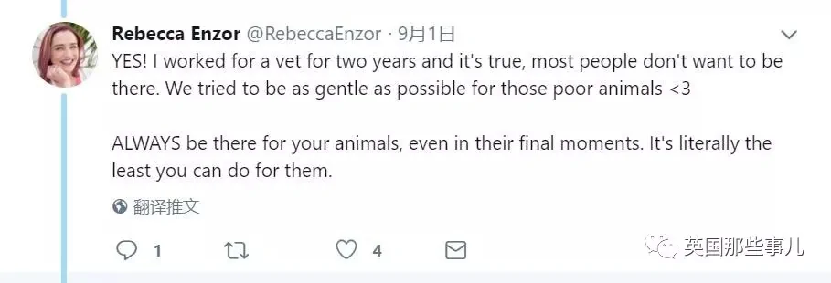 宠物接受安乐死前疯狂四处张望 在找最爱铲屎官啊!