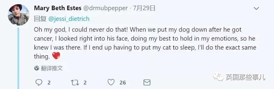 宠物接受安乐死前疯狂四处张望 在找最爱铲屎官啊!