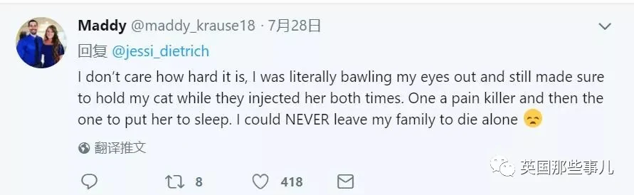 宠物接受安乐死前疯狂四处张望 在找最爱铲屎官啊!